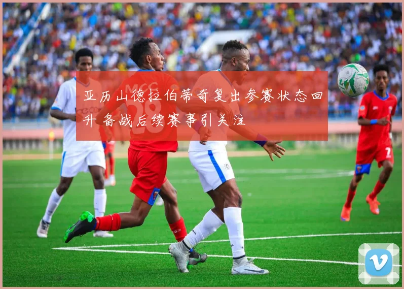 亚历山德拉伯蒂奇复出参赛状态回升 备战后续赛事引关注