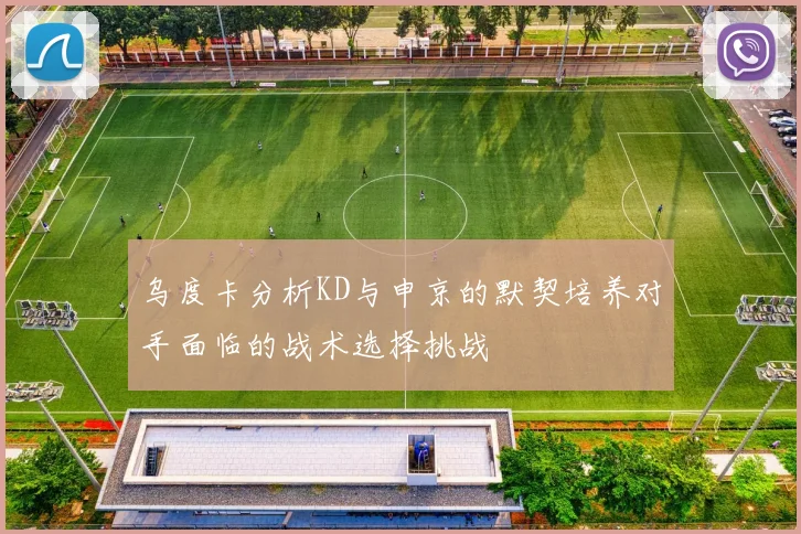 乌度卡分析KD与申京的默契培养对手面临的战术选择挑战