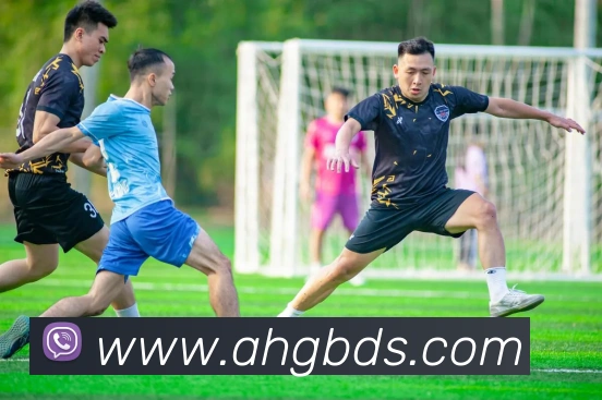 aoa网页版入口服务体系