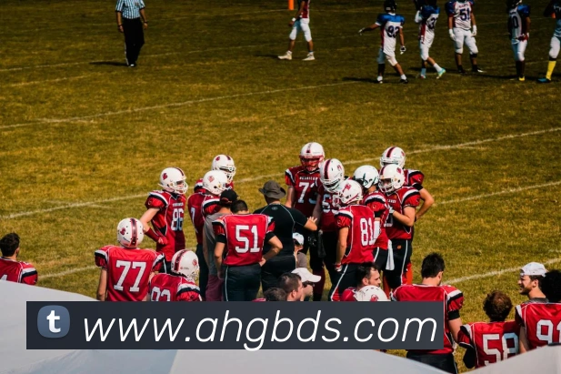 App Interface Preview